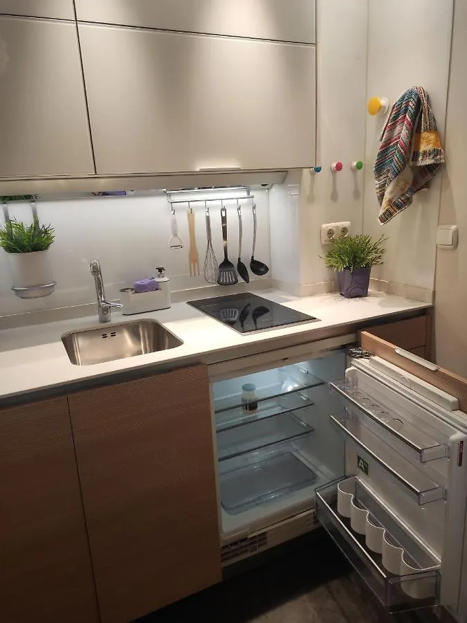 Apartamento En Gran Via Bilbao Spagna